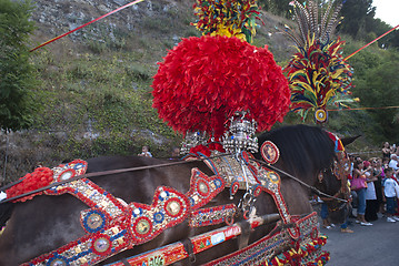 Image showing traditional sicilian horse-cart