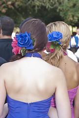 Image showing Beautiful women of Spain folk group back