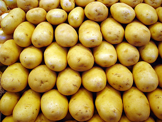 Image showing Potato background