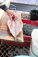 Image showing salting