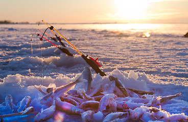 Image showing smelt fishing