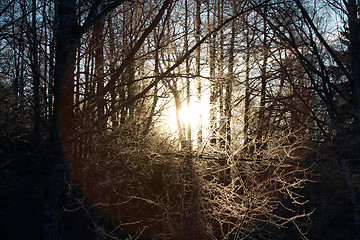 Image showing winter sunset