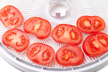 Image showing Fresh tomato on food dehydrator tray, ready to dry