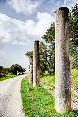 Image showing Sebastia archeology ancient ruins