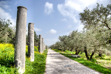 Image showing Sebastia archeology ancient ruins