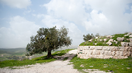 Image showing Sebastia archeology ancient ruins