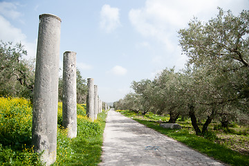 Image showing Sebastia archeology ancient ruins