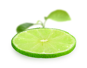 Image showing Slice of fresh lime