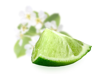 Image showing Part of fresh lime