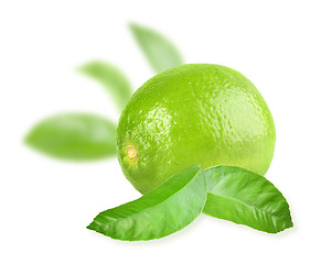 Image showing Full fresh lime