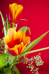 Image showing Bouquet of yellow-red tulips on a red background