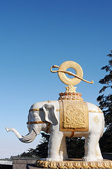 Image showing White elephant statue 