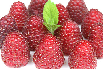 Image showing Raspberries closeup