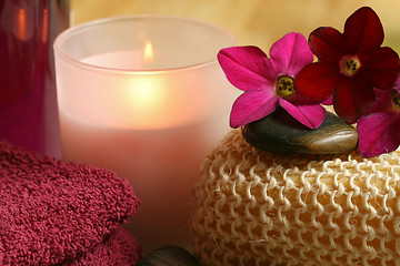 Image showing Spa and wellness therapy