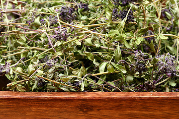 Image showing Dried thyme bowl