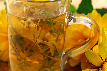 Image showing Healing herbal tea 