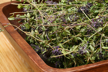 Image showing Dried herbs Thymus serpyllum