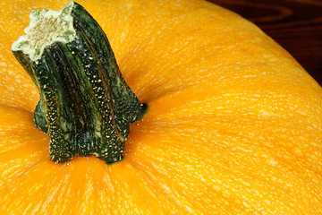 Image showing Pumpkin