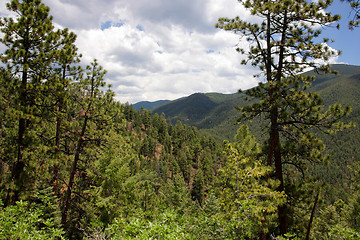 Image showing Treasures of New Mexico