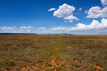 Image showing Treasures of New Mexico