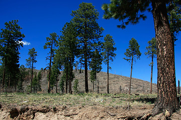 Image showing Treasures of New Mexico