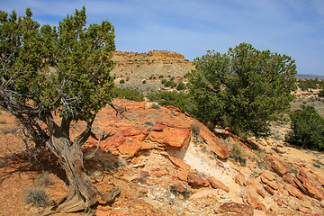 Image showing Treasures of New Mexico