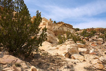 Image showing Treasures of New Mexico