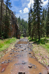 Image showing Treasures of New Mexico