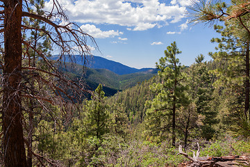 Image showing Treasures of New Mexico