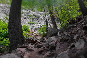 Image showing Treasures of New Mexico