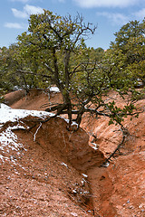 Image showing Treasures of New Mexico