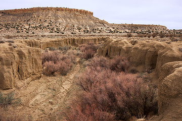 Image showing Treasures of New Mexico