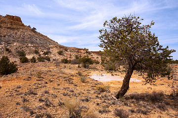 Image showing Treasures of New Mexico