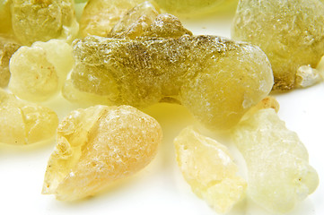 Image showing Olibanum, Boswellia serrata