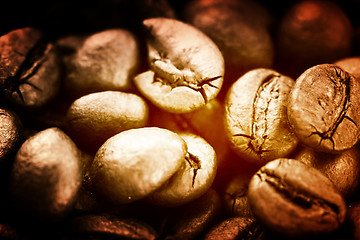 Image showing Coffee beans