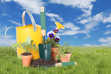 Image showing Flowers and Herbs planted in Spring Time