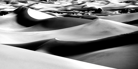 Image showing Beautiful Sand Dune Formations in Death Valley California