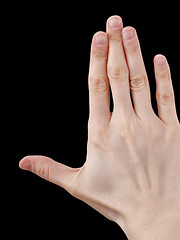 Image showing White hand on black