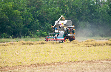 Image showing Rice Harvest Truck 