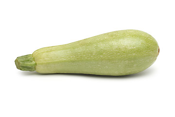 Image showing Fresh marrow vegetable. Isolated on white background