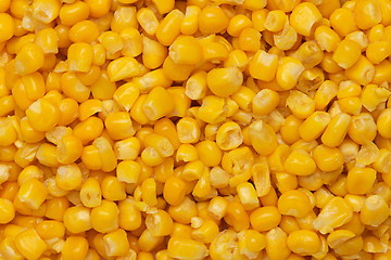 Image showing Canned corn background