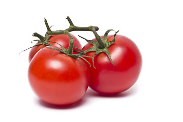 Image showing Plum tomatoes with leaves on white background