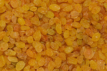 Image showing Golden raisins background