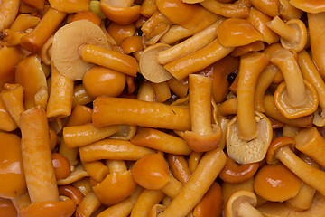 Image showing marinated mushrooms background