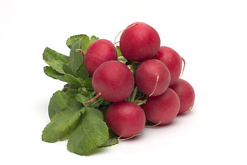 Image showing Fresh red radish isolated on white background