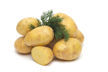 Image showing potato isolated on white background close up
