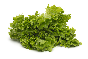 Image showing Selection of fresh mixed green salad leaves