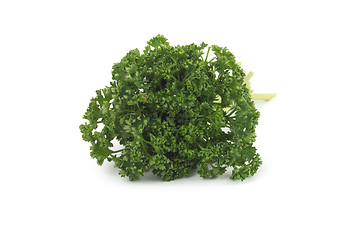 Image showing Bunch of fresh green parsley isolated on white background