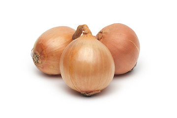 Image showing Ripe onion on a white background