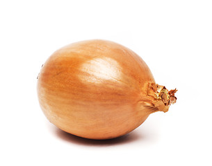 Image showing Ripe onion on a white background